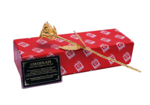 11″ GOLD DIPPED REAL ROSE @ 1100/-