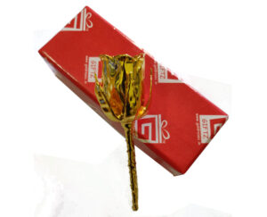 4″ GOLD DIPPED REAL ROSE @ 600/-