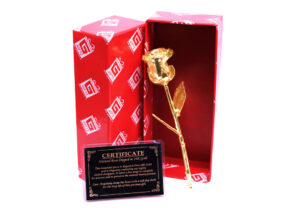 7″ GOLD DIPPED REAL ROSE @ 800/-